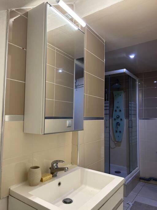 Cosy Studio - 10 Min Away From Cdg Aeroport - 30 Min Away From Paris - Parc Asterix - Olympic Games 2024 Le Thillay المظهر الخارجي الصورة